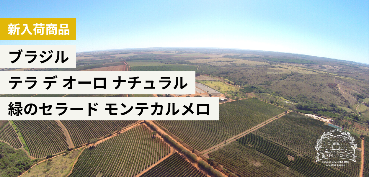 生豆・卸】海ノ向こうコーヒー | 遠くに想いを馳せる、想像力を。